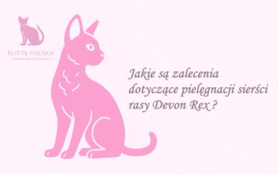 Jakie są zalecenia dotyczące pielęgnacji sierści rasy Devon Rex ?