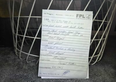Debiut naszego kociaka Devon Rex na wystawie SMK Jedynka w Warszawie 4