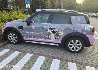 MINI Elitte Polska – teraz wszędzie widoczny 1