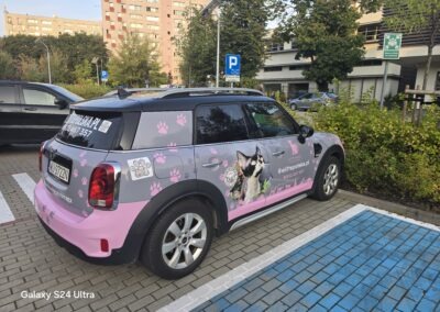 MINI Elitte Polska – teraz wszędzie widoczny 2