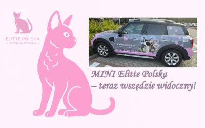 MINI Elitte Polska – teraz wszędzie widoczny!