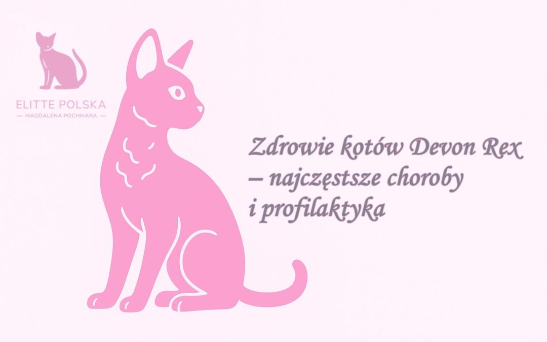 Zdrowie kotów Devon Rex – najczęstsze choroby i profilaktyka