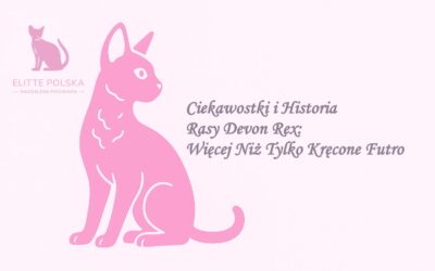 Ciekawostki i Historia Rasy Devon Rex: Więcej Niż Tylko Kręcone Futro