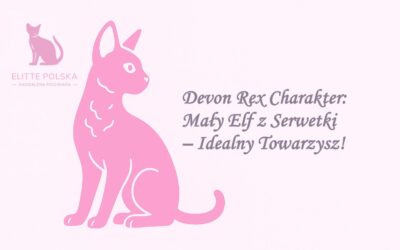Devon Rex Charakter: Mały Elf z Serwetki – Idealny Towarzysz!