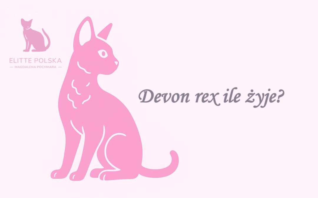 Devon rex ile żyje