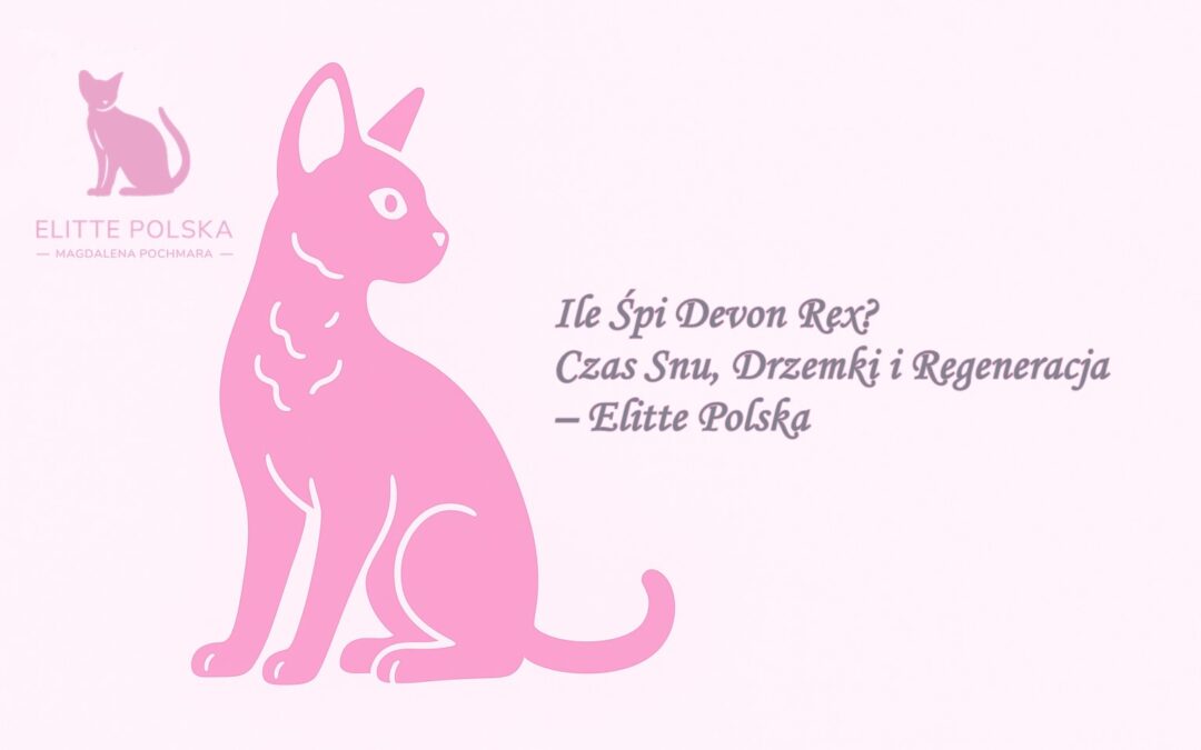 Ile Śpi Devon Rex Czas Snu, Drzemki i Regeneracja – Elitte Polska