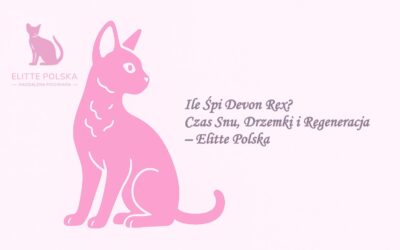 Ile Śpi Devon Rex? Czas Snu, Drzemki i Regeneracja – Elitte Polska