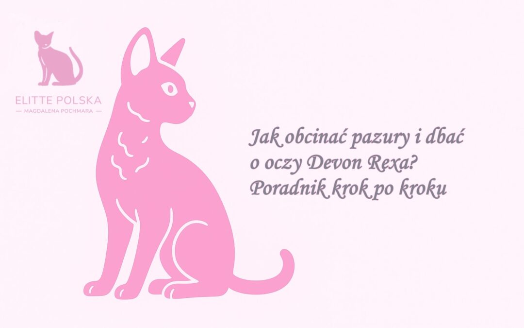 Jak obcinać pazury i dbać o oczy Devon Rexa Poradnik krok po kroku