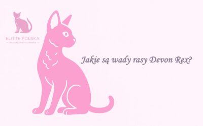 Jakie są wady rasy Devon Rex?