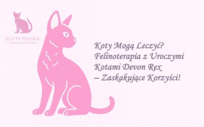 Koty Mogą Leczyć? Felinoterapia z Uroczymi Kotami Devon Rex – Zaskakujące Korzyści!