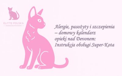 Alergie, pasożyty i szczepienia – domowy kalendarz opieki nad Devonem: Instrukcja obsługi Super-Kota 🦸‍♂️
