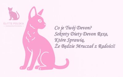 Co je Twój Devon? Sekrety Diety Devon Rexa, Które Sprawią, Że Będzie Mruczał z Radości!