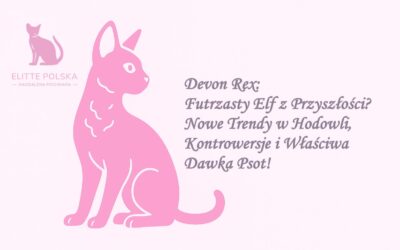 Devon Rex: Futrzasty Elf z Przyszłości? Nowe Trendy w Hodowli, Kontrowersje i Właściwa Dawka Psot!