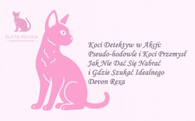 🐱 „Koci Detektyw w Akcji: Pseudo-hodowle i Koci Przemysł – Jak Nie Dać Się Nabrać (i Gdzie Szukać Idealnego Devon Rexa)”