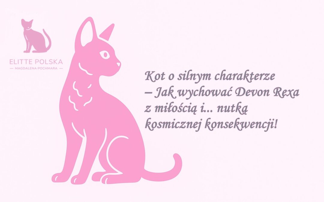 Kosmita, Pies i Aktor w Jednym Ciele? Opowieść o Devon Rexie, Czyli Jak Wychować Kędzierzawego Władcę Domu!