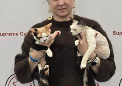Międzynarodowa Wystawa Kotów Rasowych Pabianice Hodowla Devon Rex Elitte Polska 1