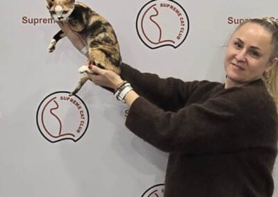 Międzynarodowa Wystawa Kotów Rasowych Pabianice Hodowla Devon Rex Elitte Polska 2