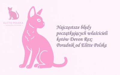 Najczęstsze błędy początkujących właścicieli kotów Devon Rex: Poradnik od Elitte Polska