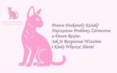 Prawie Doskonały Kiciak? Najczęstsze Problemy Zdrowotne u Devon Rexów – Jak Je Rozpoznać Wcześnie i Kiedy Włączyć Alarm!