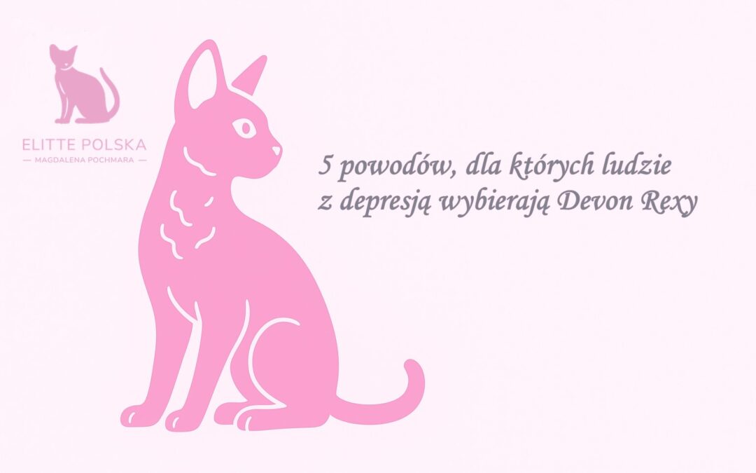 5 powodów, dla których ludzie z depresją wybierają Devon Rexy