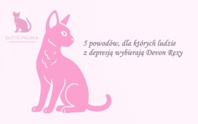 5 powodów, dla których ludzie z depresją wybierają Devon Rexy