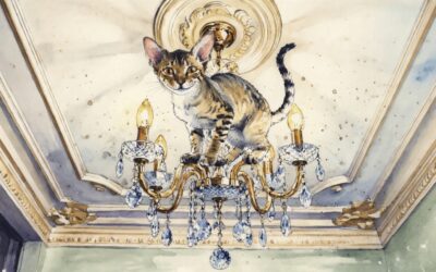 Devon Rex kontra grawitacja – dlaczego zawsze wygrywa