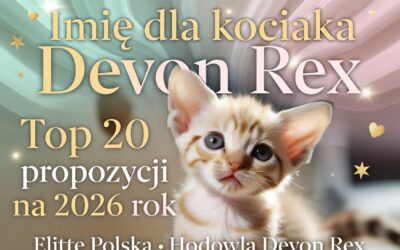 Imię dla kociaka Devon Rex – nasze top 20 propozycji na 2026 rok 2