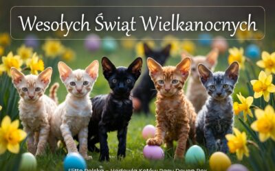 Wesołych Świąt Wielkanocnych od Elitte Polska! Niech Wasze domy wypełni mruczenie i radość!