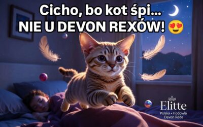 Cicho, bo kot śpi… no właśnie, nie u Devon Rexów! Jak ogarnąć ich tryb nocny