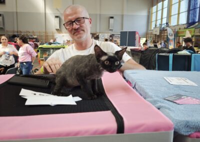 Międzynarodowa Wystawa Kotów w Łomiankach 2026 – sukcesy Devon Rex ELITTE Polska (5)