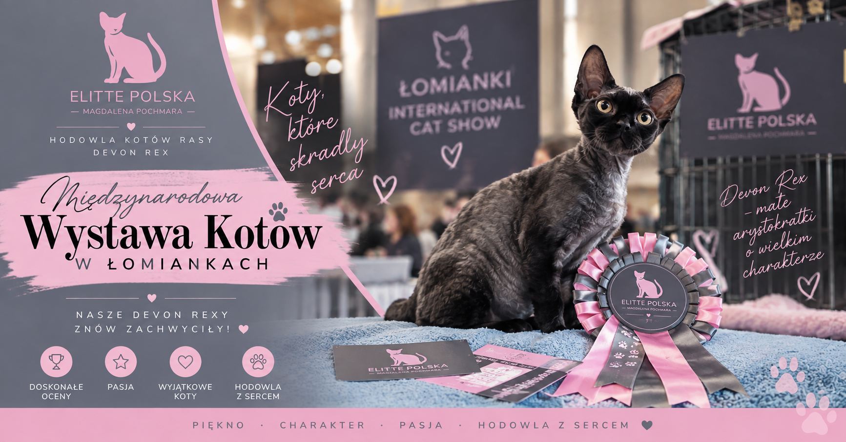 Międzynarodowa Wystawa Kotów w Łomiankach 2026 – sukcesy Devon Rex ELITTE Polska